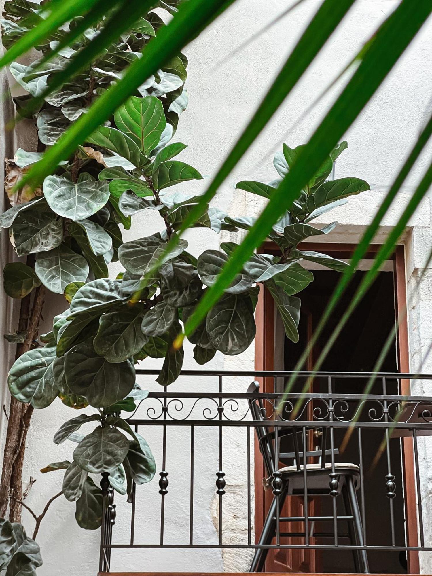 Casa Dei Delfini Otel Resmo Dış mekan fotoğraf